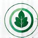 Sustainability leaf and quality check icon