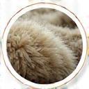 Magnified wool fibers icon
